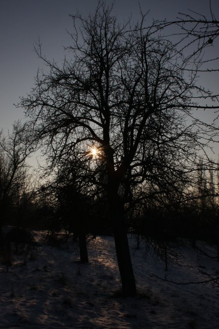 Winter 12.01.09 053.jpg